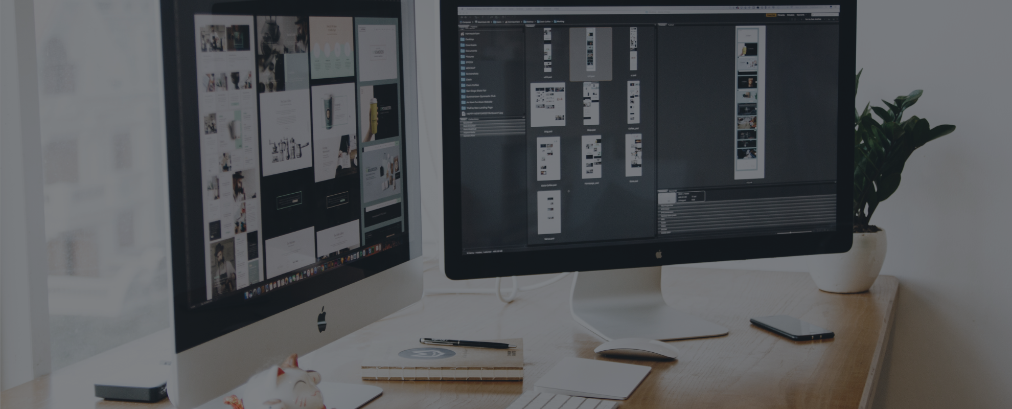 Website Design and Development