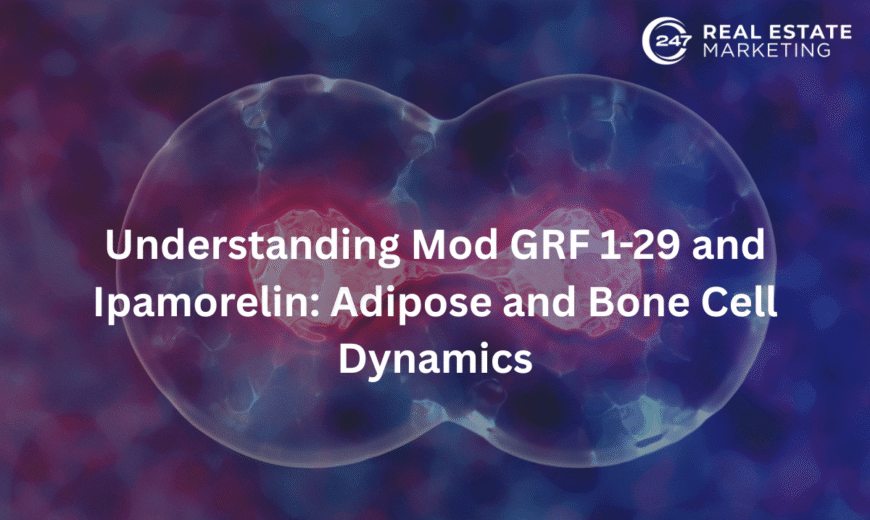 Understanding Mod GRF 1-29 and Ipamorelin: Adipose and Bone Cell Dynamics