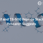 BPC-157 and TB-500 Peptide Stack: What Research Suggests