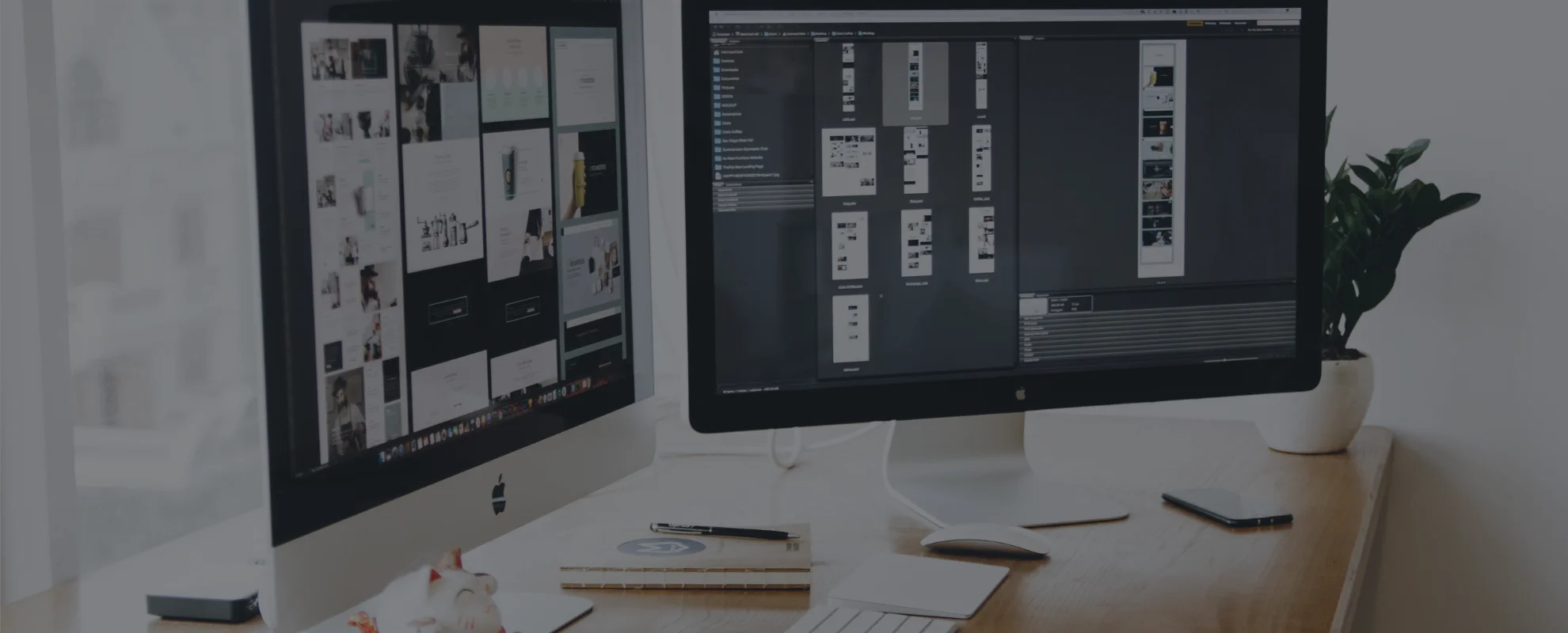 Website Design and Development
